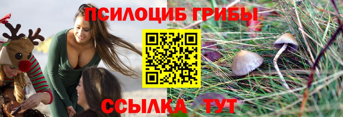 Псилоцибиновые грибы мухоморы Холмск